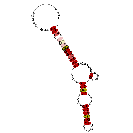 secondary structure