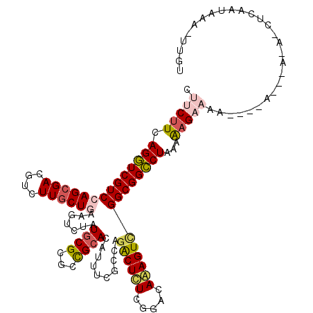 secondary structure