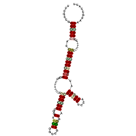secondary structure