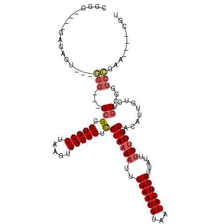 secondary structure