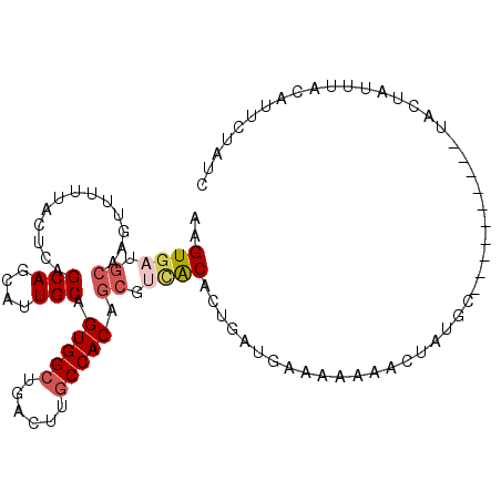 secondary structure
