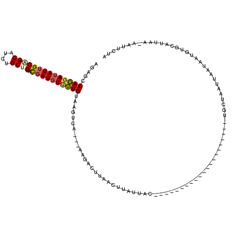 secondary structure