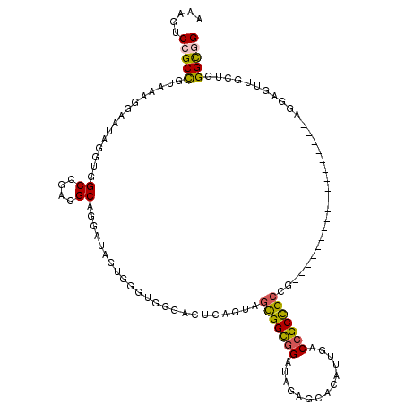 secondary structure