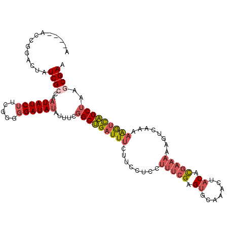 secondary structure