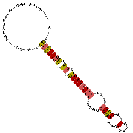 secondary structure