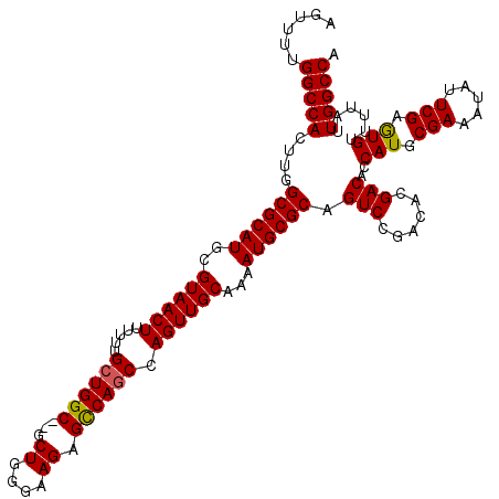 secondary structure