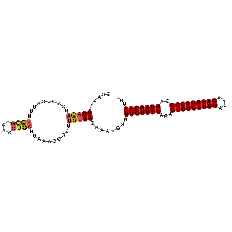 secondary structure