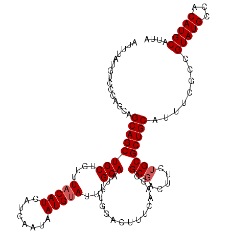 secondary structure