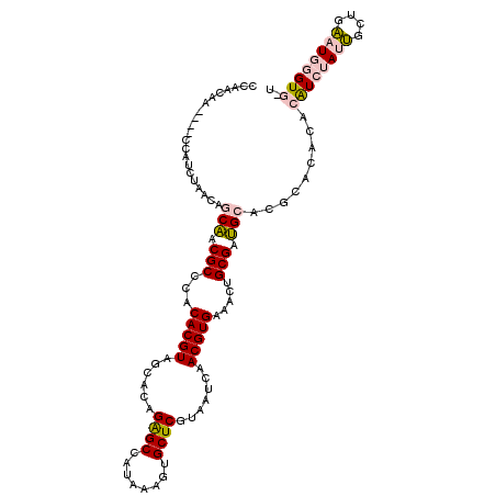 secondary structure