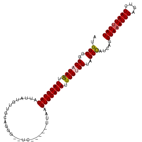 secondary structure