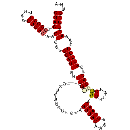 secondary structure
