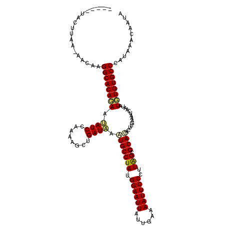 secondary structure