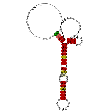 secondary structure