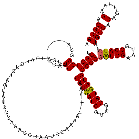 secondary structure