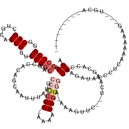 secondary structure