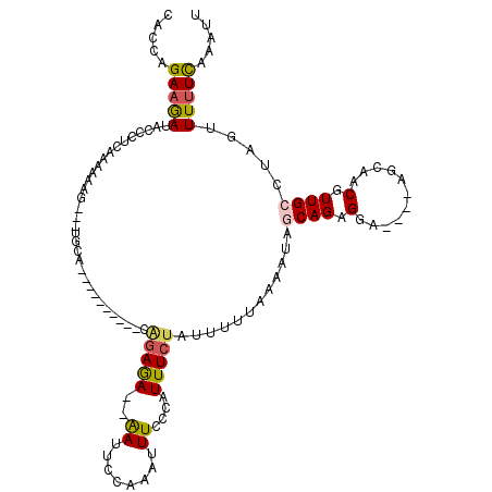 secondary structure
