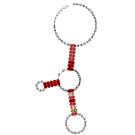 secondary structure