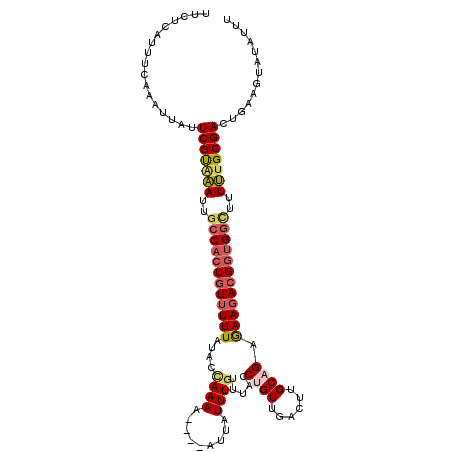 secondary structure