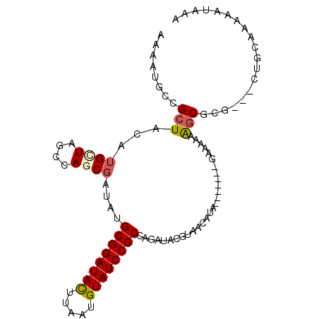 secondary structure
