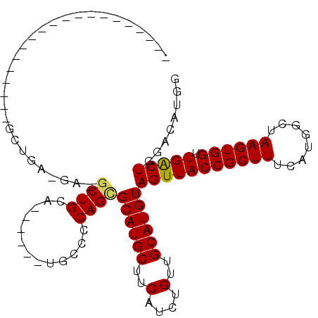 secondary structure