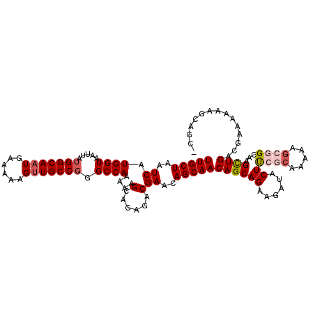 secondary structure