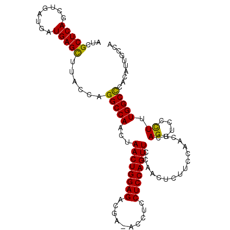 secondary structure