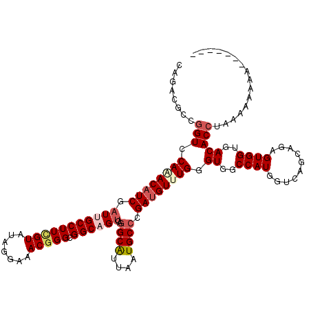 secondary structure