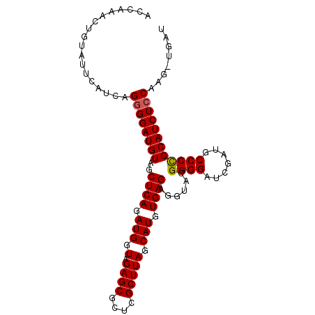 secondary structure