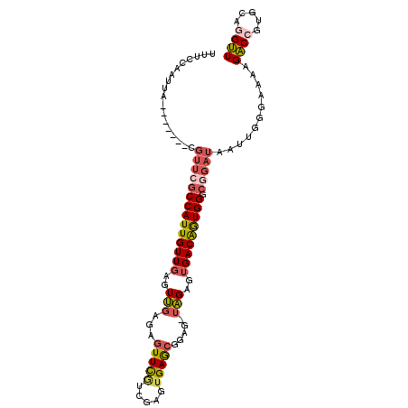 secondary structure