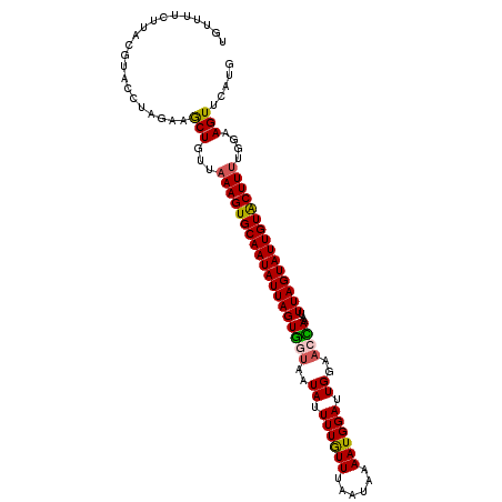 secondary structure
