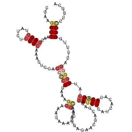 secondary structure