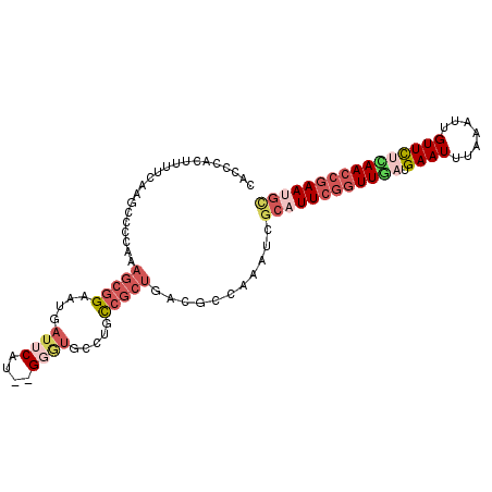 secondary structure