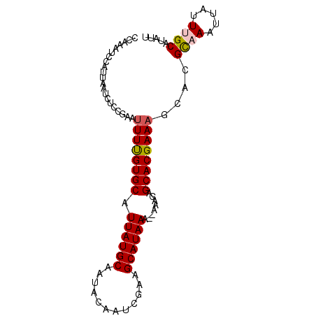 secondary structure