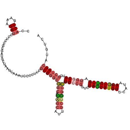 secondary structure