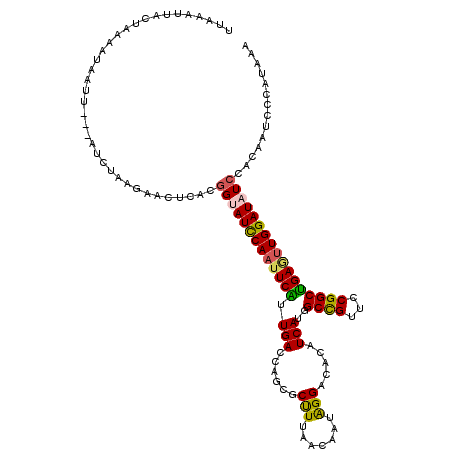 secondary structure