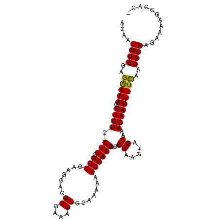 secondary structure