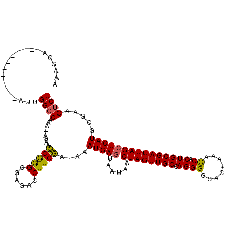 secondary structure