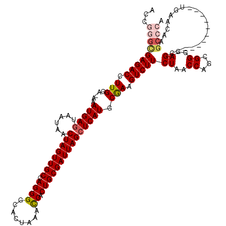 secondary structure