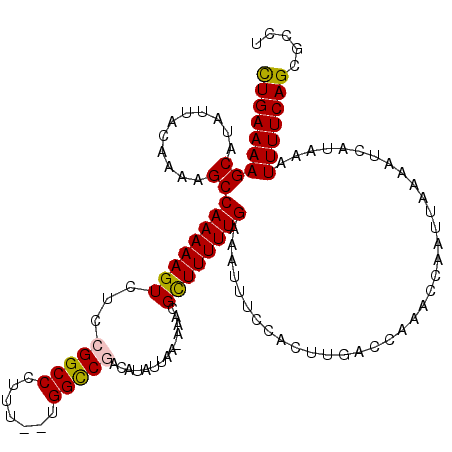 secondary structure