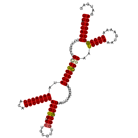 secondary structure
