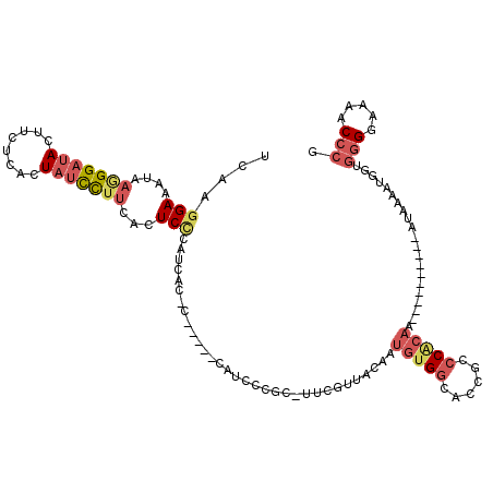 secondary structure