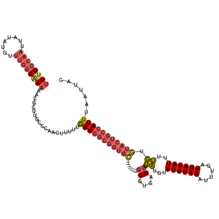 secondary structure
