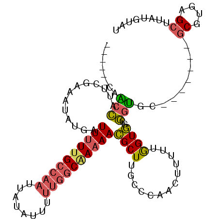 secondary structure