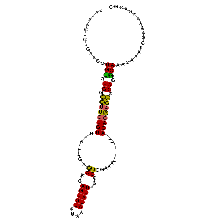 secondary structure