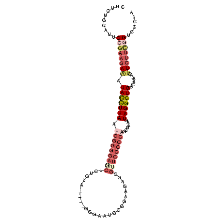 secondary structure