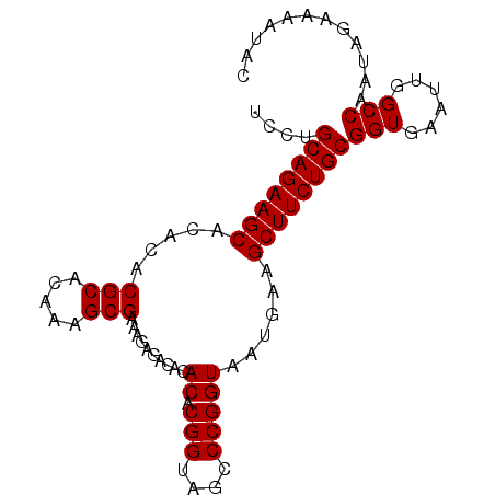 secondary structure