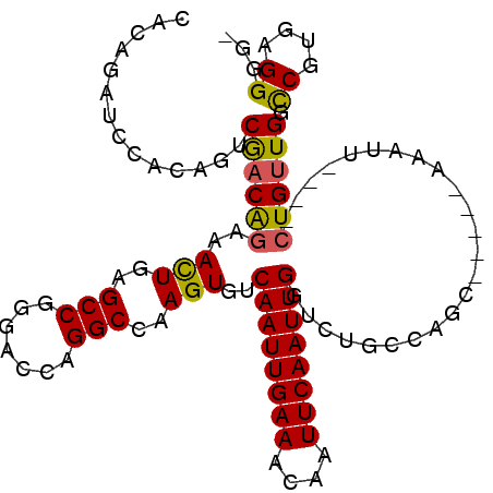 secondary structure