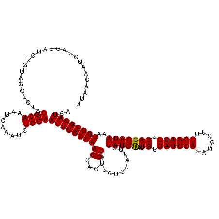 secondary structure