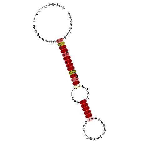 secondary structure