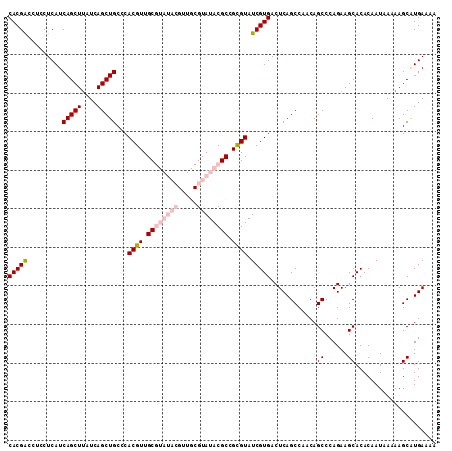dotplot